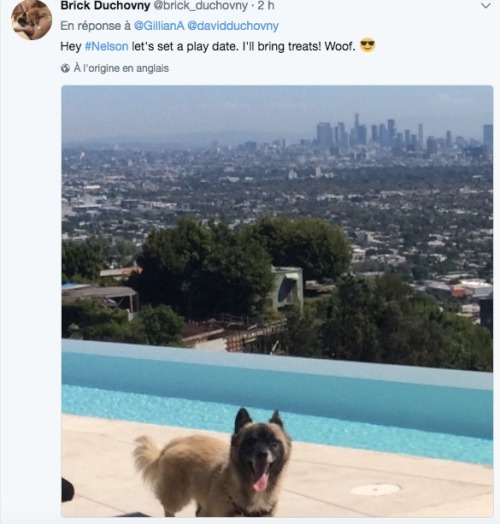 justholdinghandsok:All of this dog fuckery needed its own post. To be continued (hopefully!)