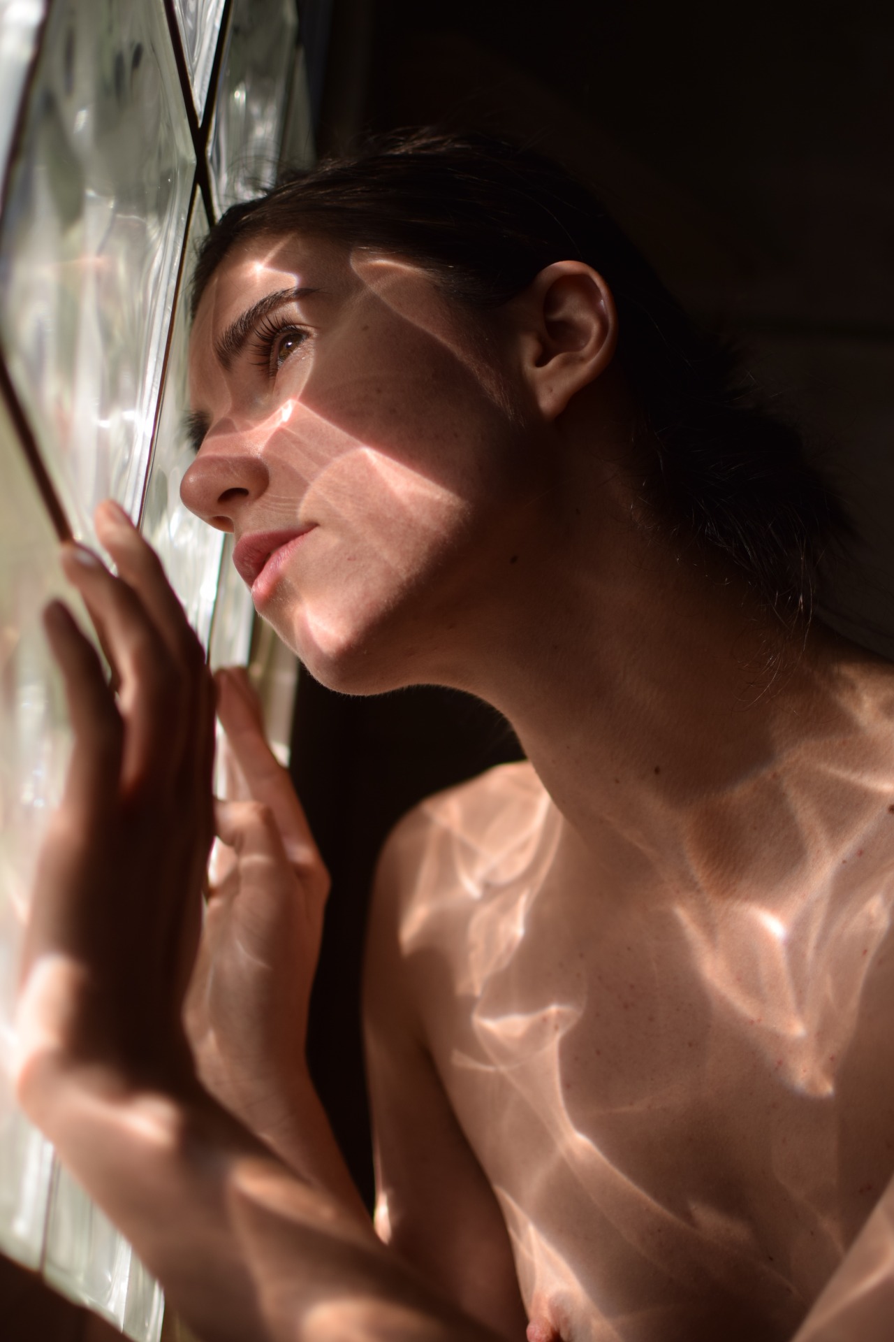 animalmagikphotography:  Tomorrow I will Travel By Light: KyotocatPhoto by Patrick