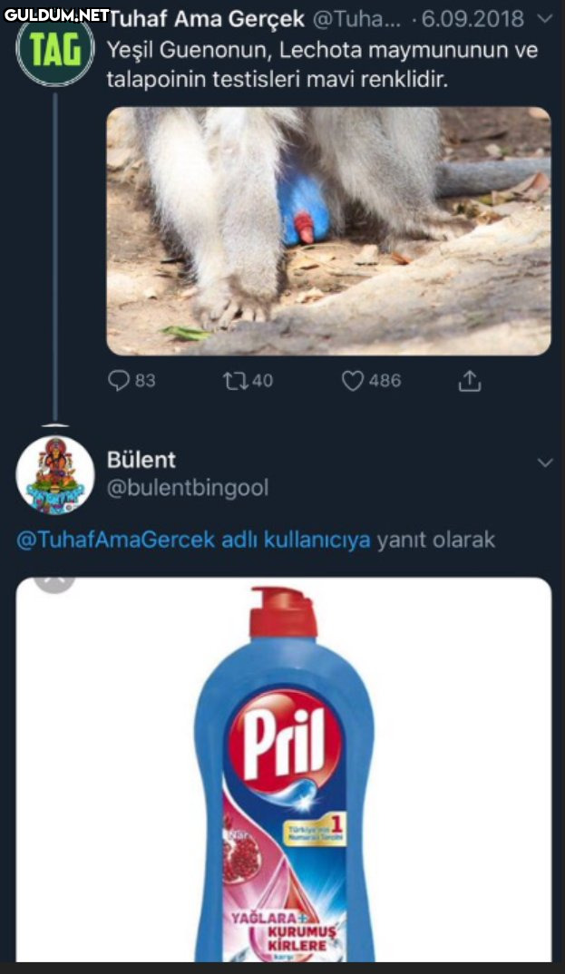 Tuhaf Ama Gerçek @Tuha......