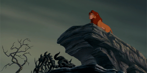 skitten219:  toasty-coconut:  Coming back and looking at a fandom you used to be an active part of that is now dying