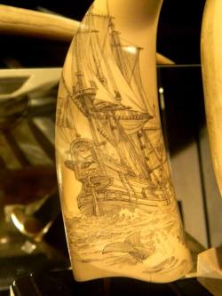 fuckyeahnewbedford:  Some AMAZING scrimshaw artwork - on display at the New Bedford Whaling Museum.  