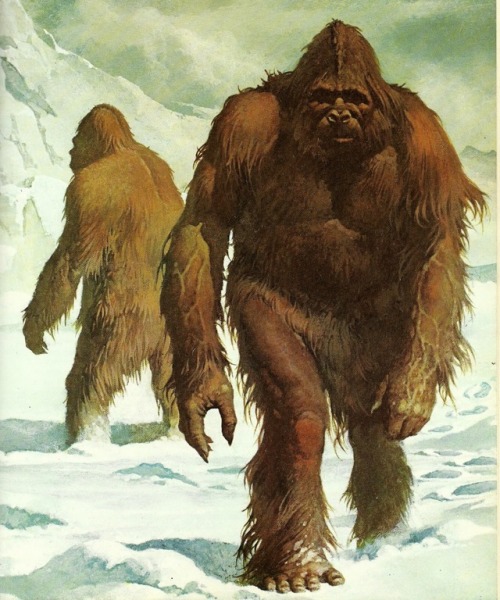 The Yeti.Illustration from Monsters and Mythic Beasts (1975).