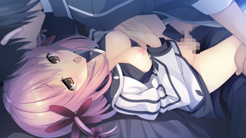 100% Ecchi/Hentai