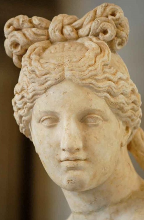 Porn Pics gildedhistory:  Aphrodite was frequently