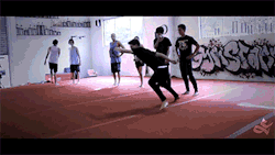 forthesakeofmovement:  SureShot