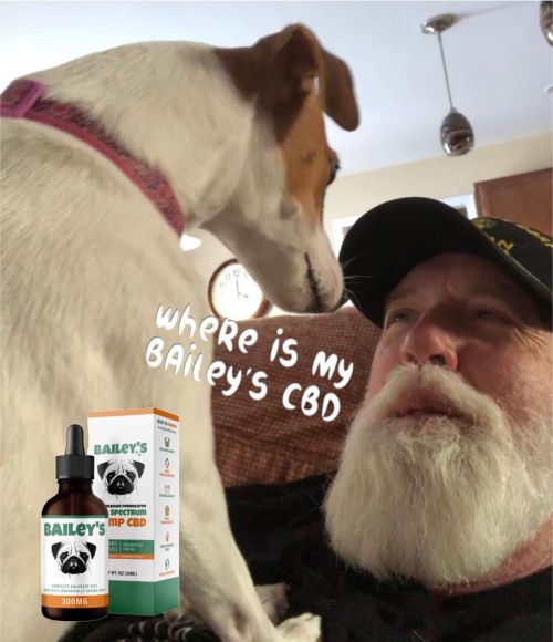 Nikki loves her CBD especially when it storms or Indiantown Gap is set of weapons. Some of the reaso