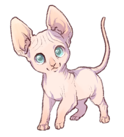 mewitti:  I held a sphynx cat once. It felt