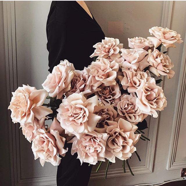 Via**https://web.stagram.com/p/BvCbN4oB3kd