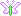 bug
