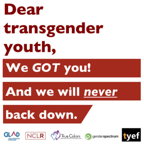 transyouthequality:Trans Youth Equality Foundation rocks! Pass this along and kids will know where t