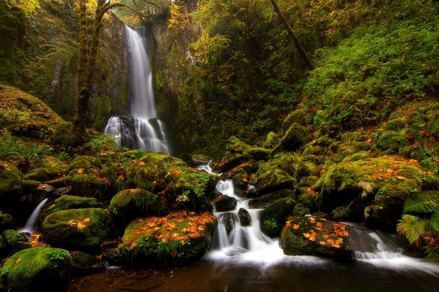 morethanphotography:  Lower Kentucky Falls by skylerhughes 