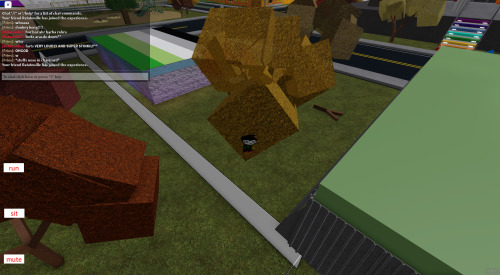 Roblox Screenshots