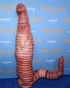assiraphales:assiraphales:I love that heidi klum, international super model and tv personality, was like “I’m going to be a worm for halloween” and went for the most horrifying hyper realistic version possible and was quoted saying (in said worm