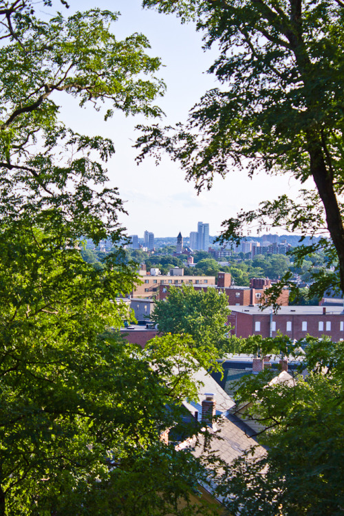 Discover Prospect Hill, Somerville, MA cover image