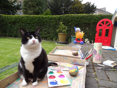 mostlycatsmostly:  Studio Assistant (via Macphotos)  