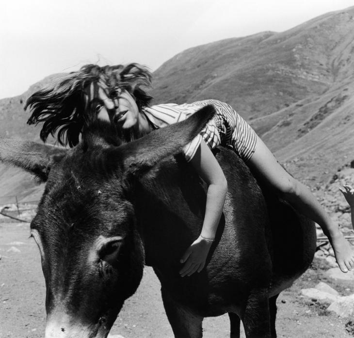 joeinct:  Photo by Anne Rearick, 2002  