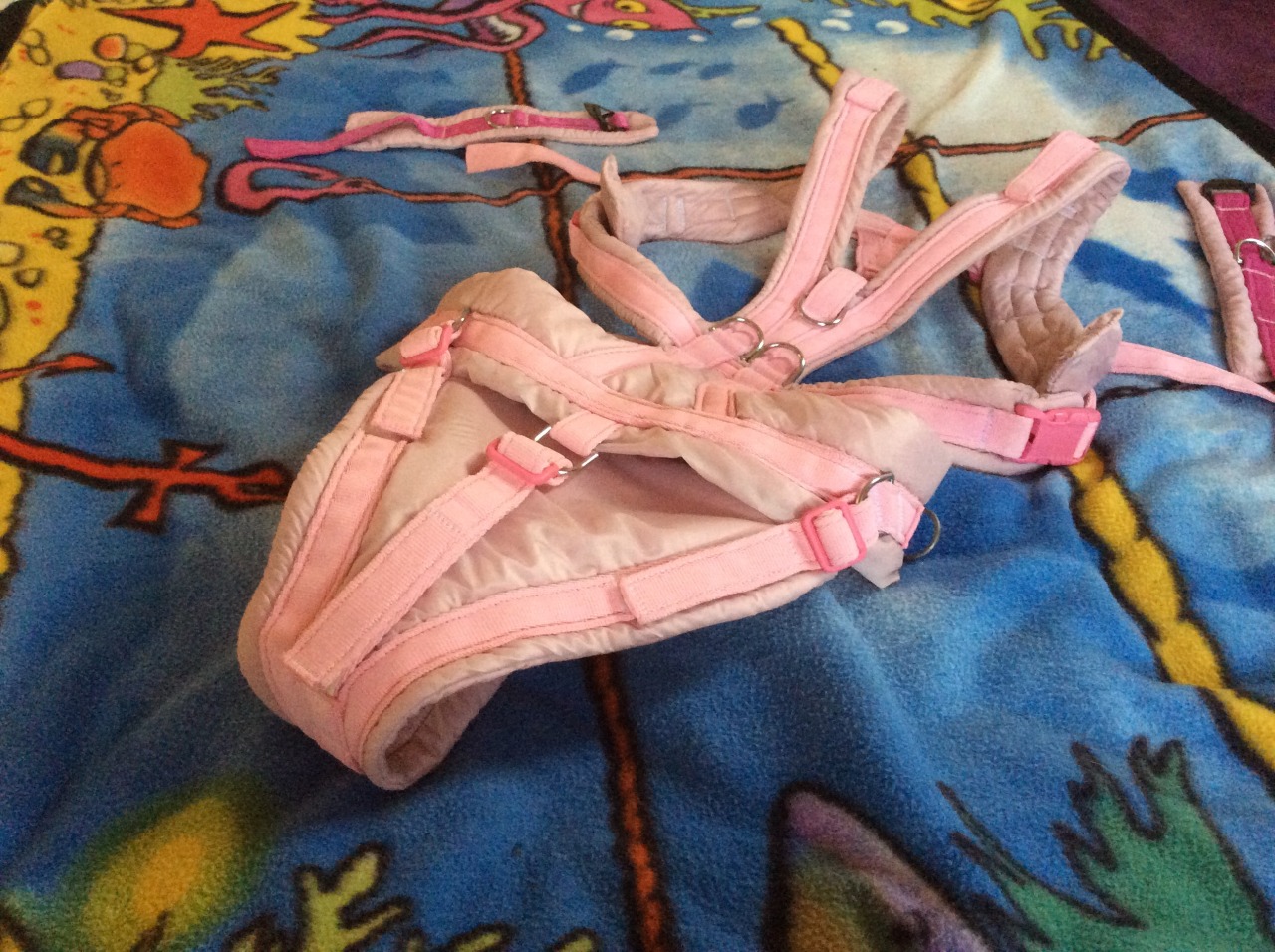 daddy-for-my-gf:  This is a baby bouncer/bondage harness I made for my little girl.
