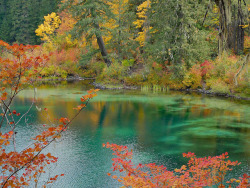 90377:    Clear Lake, Oregon 9/29/18 by Thom