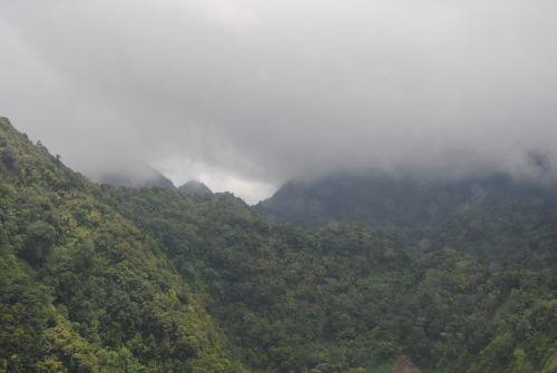 roaming-feet:| St. Lucia fog |