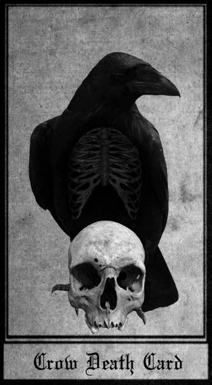 Crow Tarot Card by Ray4359