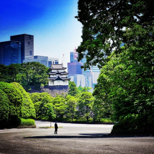 View from inside the Imperial Palace grounds, Tokyo, Japan