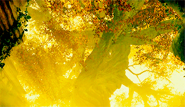 orlandobloom:   Then the bliss of the Valar was increased; for the lights of the
