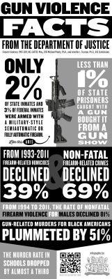 45-9mm-5-56mm:  libertymaniacs:  The Justice Department’s Bureau of Justice Statistics released a special report on gun violence in America from 1993-2011 by Michael Planty, Ph.D., and Jennifer L. Truman, Ph.D.. We made this infographic showing some