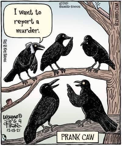 ysl123:@instructor144 @triskeleaficionado @magpie-69  Crow humor 