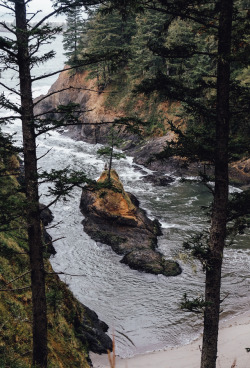 northwezt:  Dead Mans Cove, Washington.Flickr / Instagram 