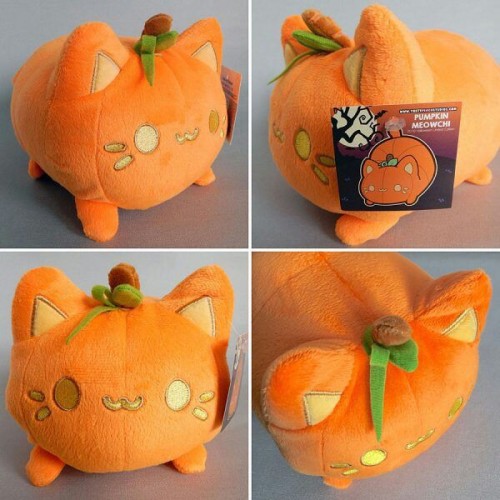 lilac-wish:Pumpkin Meowchi