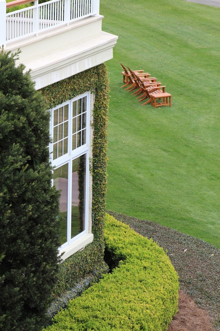 preciousasapeony:  Sea Island Green