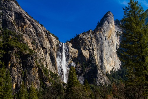 A great day in Yosemite