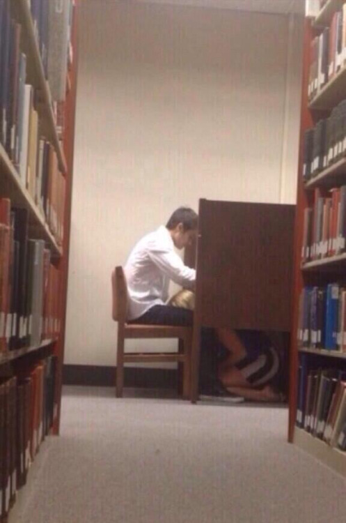 boner-lover:Me and my friends were hired by the library to sit under desks like this 24/7 during fin