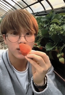 79/365 Days Of Kim Seokjin