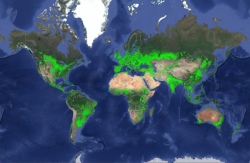 megapope: thecybersmith:  megapope:   thecybersmith:  mapsontheweb: Global Farming Land, USGS Survey.  This doesn’t show Antarctica. For all we know, there could be LOTS of farmland there.  This has got to be my new favorite thecybersmith post because