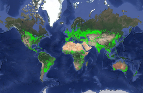 megapope:thecybersmith:mapsontheweb:Global Farming Land,USGS Survey.This doesn’t show Antarctica. Fo