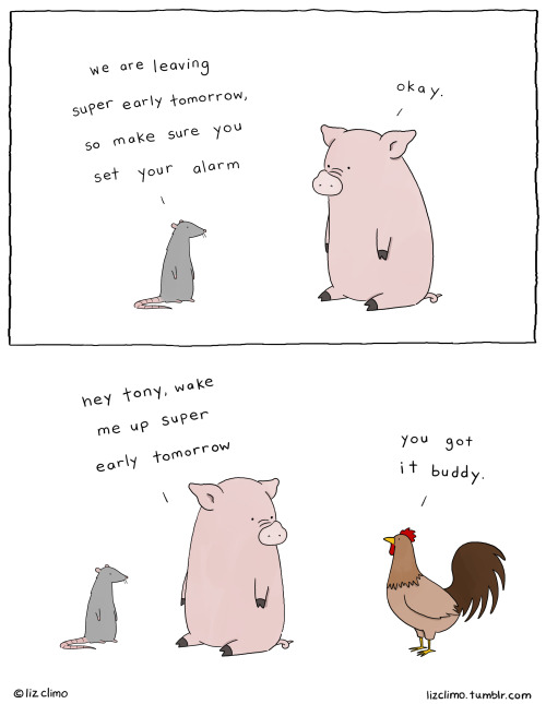 lizclimo:  thanks, tony.  
