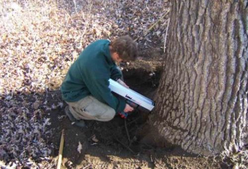 Tree Service Professionals