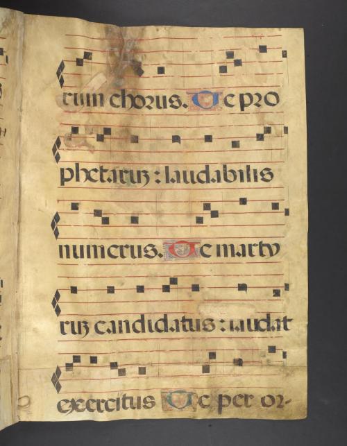 Ms. Oversize 33 is a gathering from a choir psalter written in 16th century Spain. This section is t