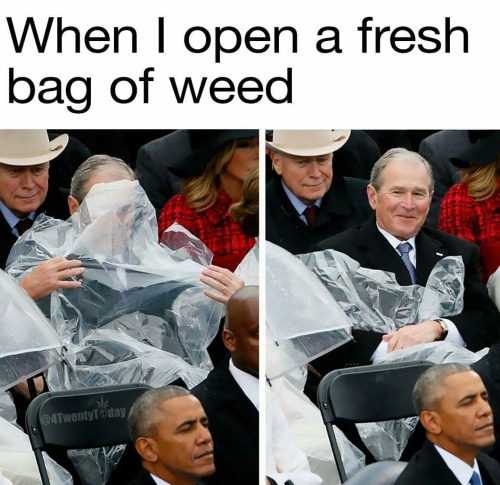 Are you a stoner?