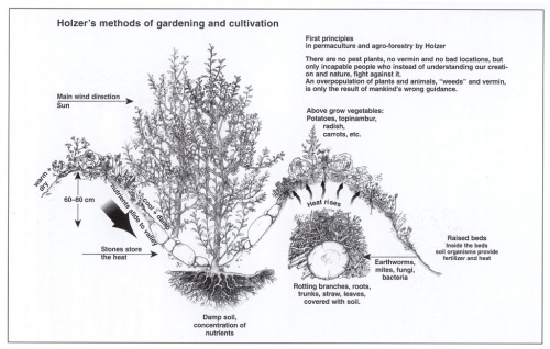 Hügelkultur (German, meaning “hill culture” or “mound culture”) is the garde