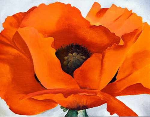 immortart:Georgia O'Keeffe, Red Poppy, 1927.