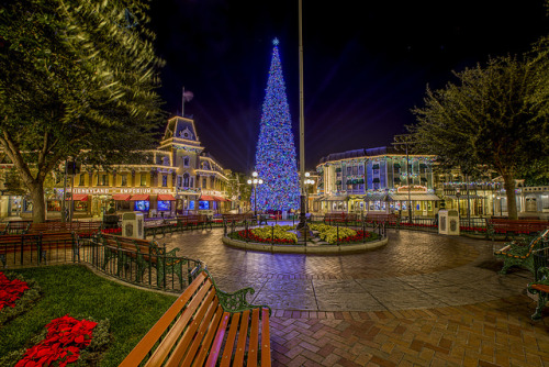 groovy-teen-cupcake:Christmas at Disneyland by Crustopher on Flickr.