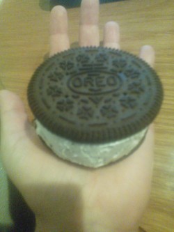 You may think this is a giant Oreo cookie but you’d be wrong. It is, in fact, a giant Oreo ice cream sandwich.