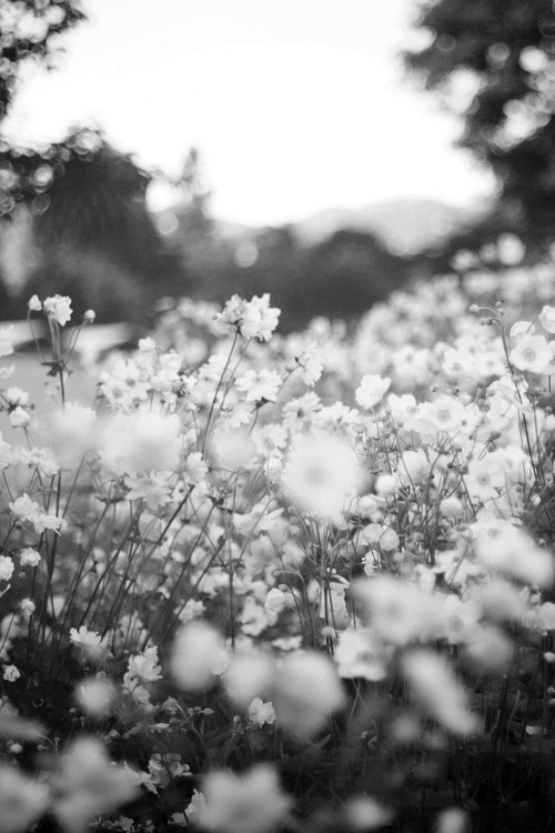 We are The Wild Ones
