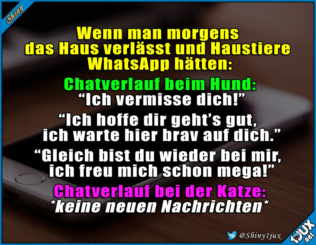Lustige Sprüche — Und zwischendurch mehrfach die Frage wann es Essen...