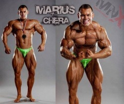 hugevascularmuscle:  Marius Chera…competitive bodybuilder Proudly displaying his rigid penis and steroid shrunken testicles….so fucking hot