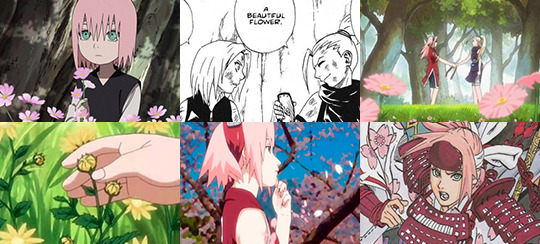 stats: tiredgaykakashi:  she’s never seen using them yet her canon nature types