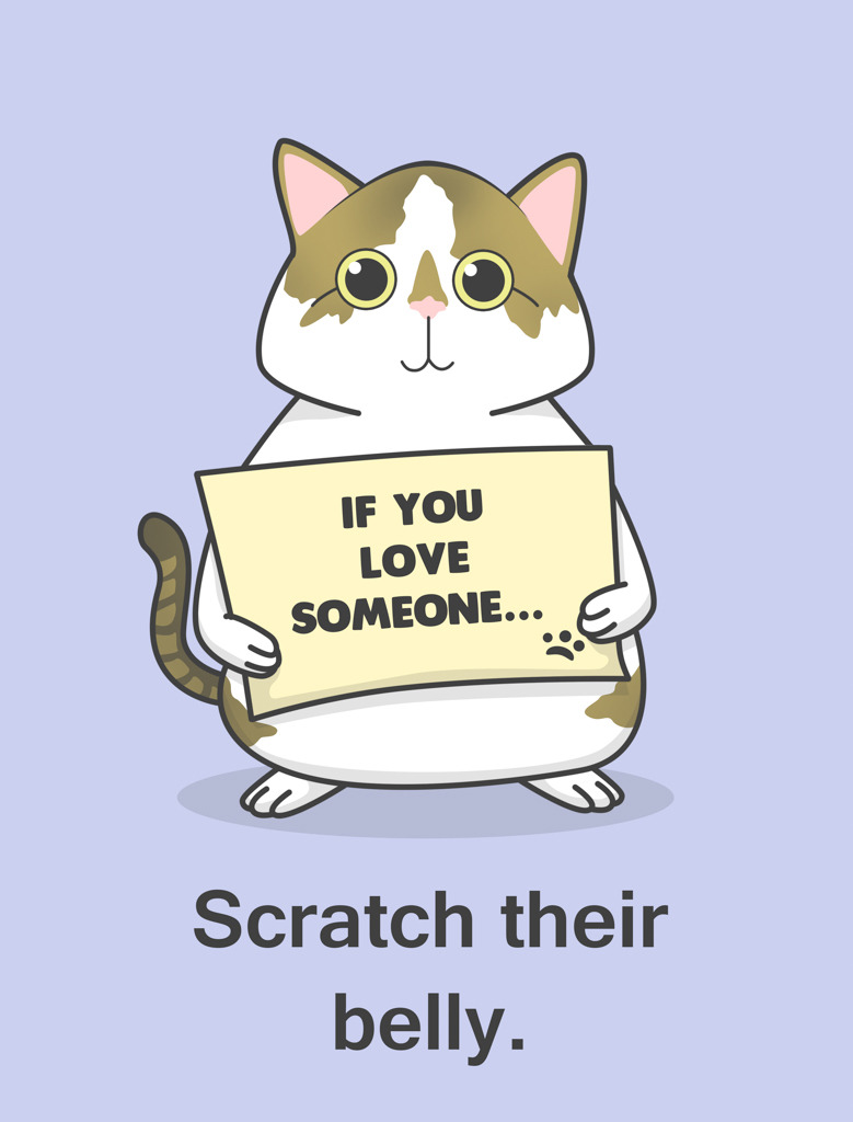aimeetrawick:  Hoppy Cat shares advice on showing affection!  