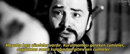 Haybeye yaşayan adam